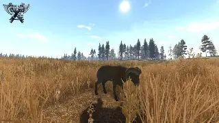 从小白到肝帝：十年老玩家的冒险岛血泪史，真香警告！