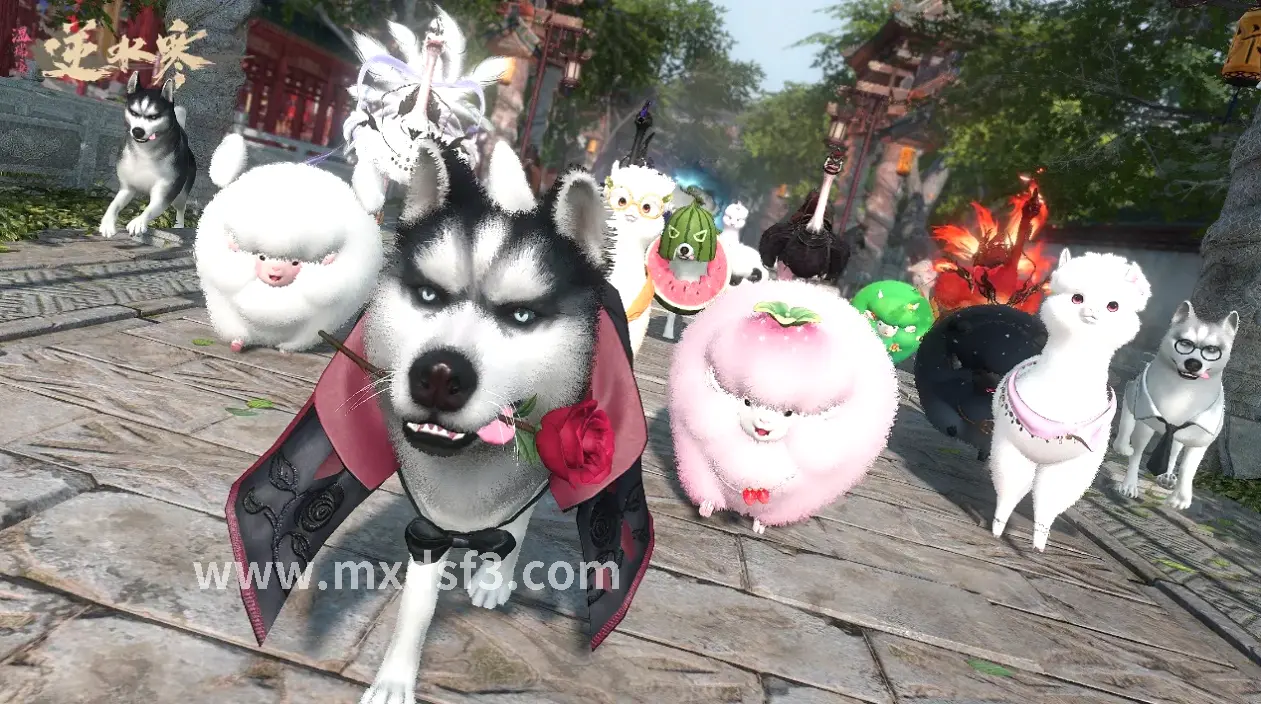 冒险岛活动任务